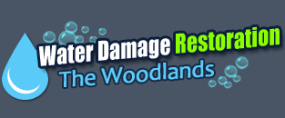 Carpet Cleaning Jacinto City